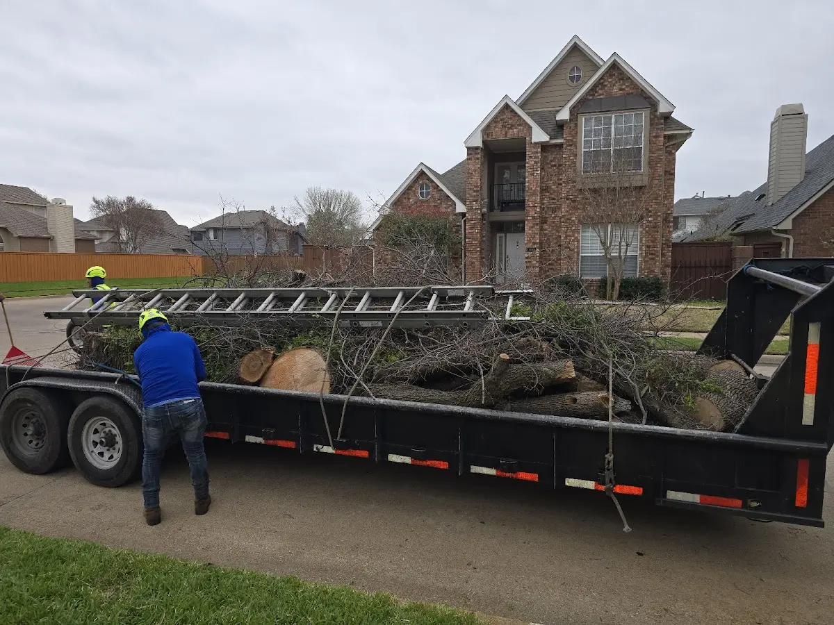 Expert Lot Clearing with proper safety equipment in Woodland